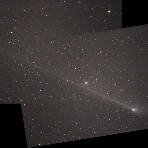 ５月２２日 早朝のパンスターズ彗星