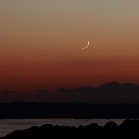月・金星・水星大接近