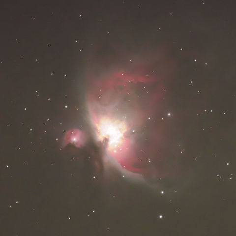 東京都板橋から見たオリオン