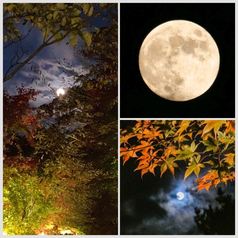 夕焼けの渚 紅葉まつりと待宵月