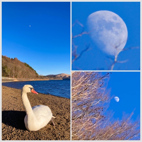 月と山中湖