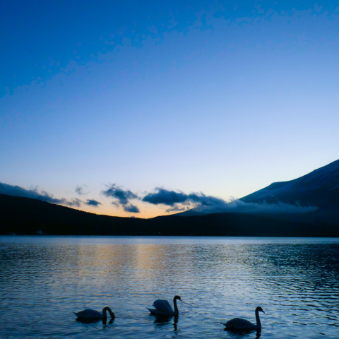 山中湖と夕月