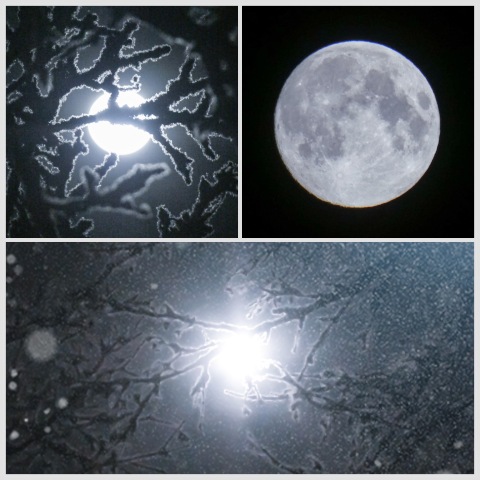 月と雪あかりの夜