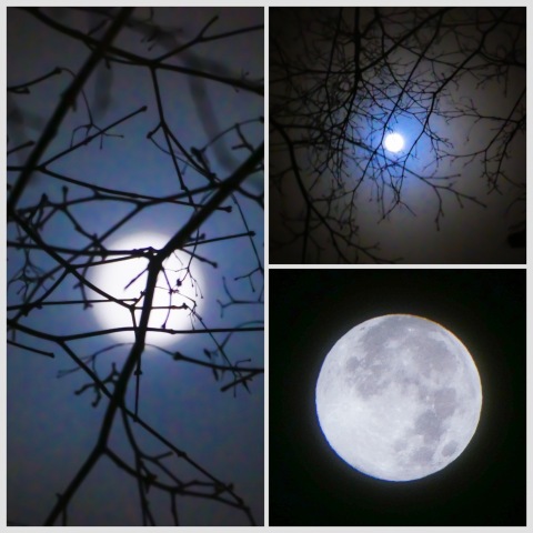 霞の空にぼんやりと十五夜のお月様