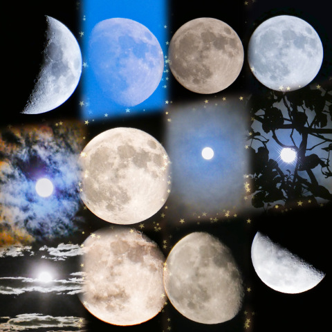 九月のお月さまGallery 