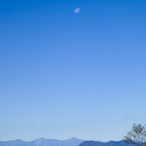 大平山より沈みゆく朝の白い月