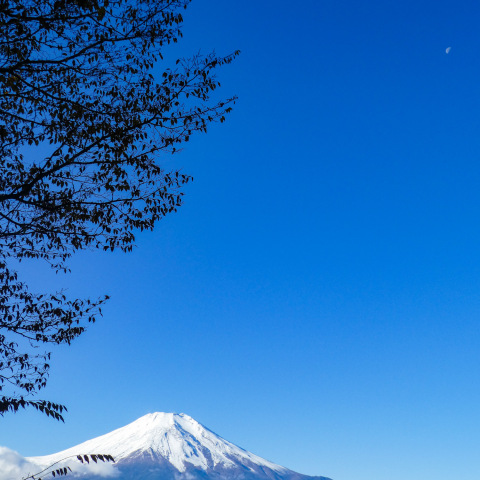 冠雪した富士と朝の月