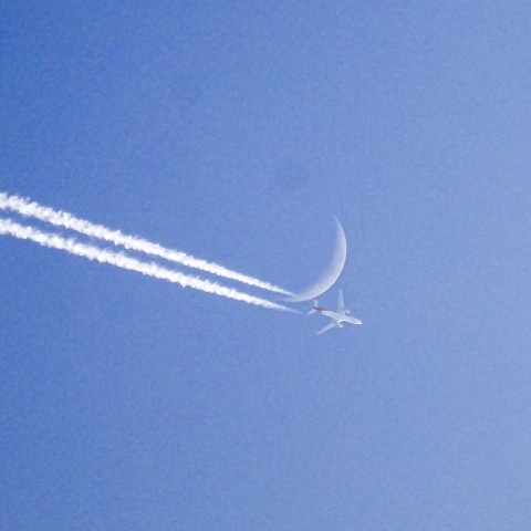 お月さんに向かって