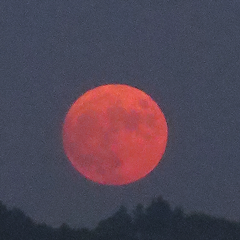 緋色の月の出