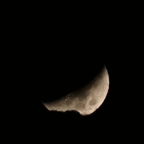 眠りにつくお月様