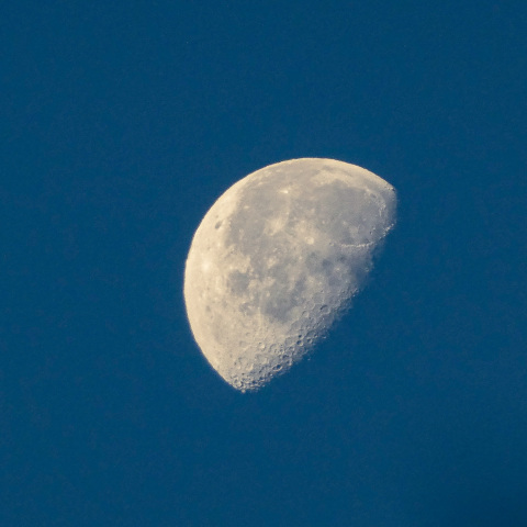 夜明けの二十三夜のお月様