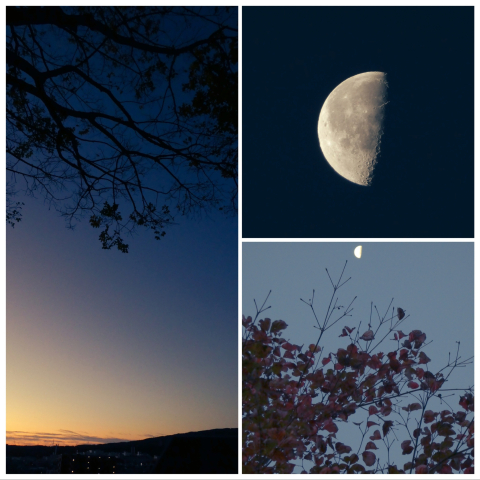 有明月、北風木の葉を払う