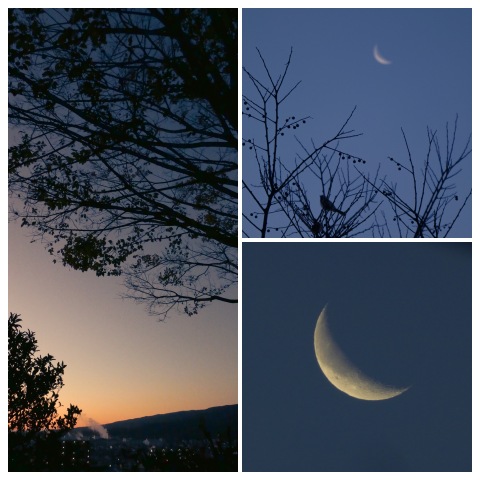 夜明けの有明月