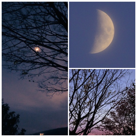 すみれ色の宵月