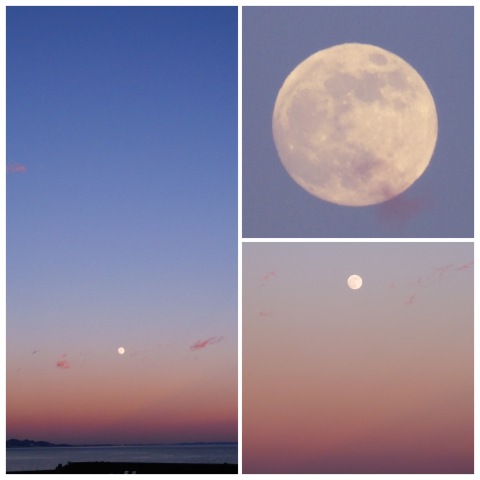 小田原の海と月の色　2