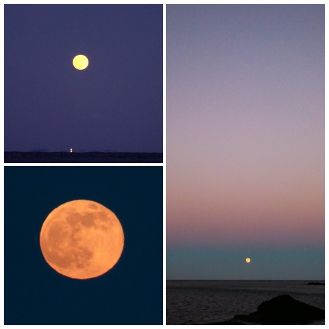 真鶴漁港　月の出