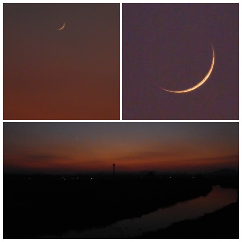 夕暮れの菊池川と細い月