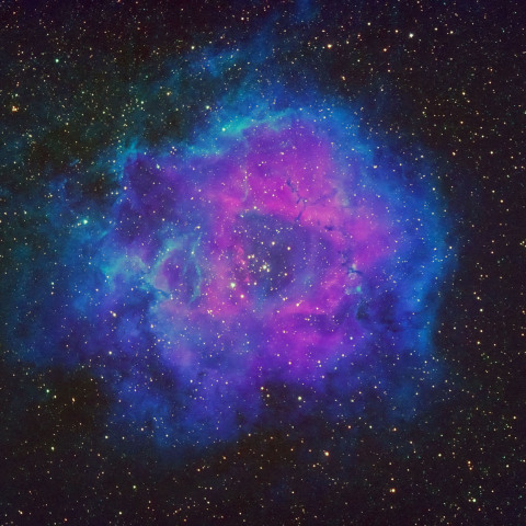 バラ星雲 NGC2237 OSA合成
