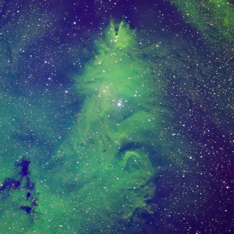 クリスマスツリー星団 コーン星雲