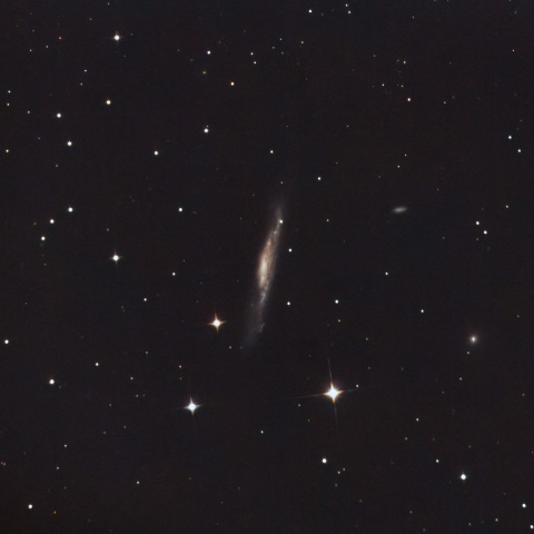 NGC3079