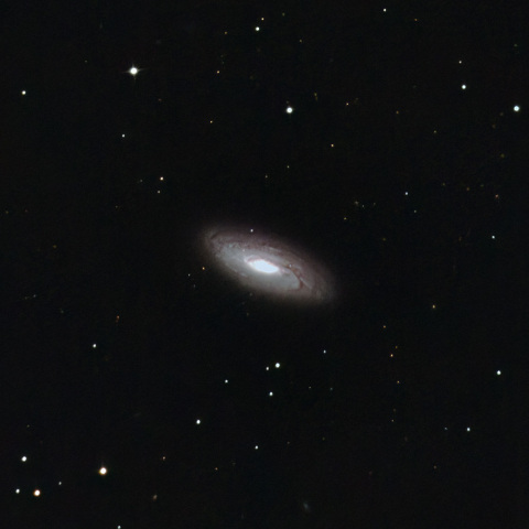 NGC5005
