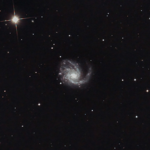 M99