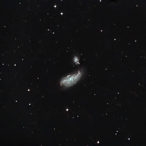 NGC4490 まゆ銀河