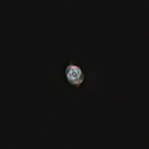 キャッツアイ星雲 NGC6543