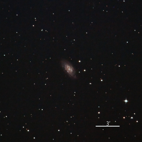 NGC6643