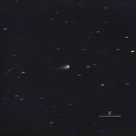 C/2023 A3  (Tsuchinshan-ATLAS  紫金山-アトラス彗星)