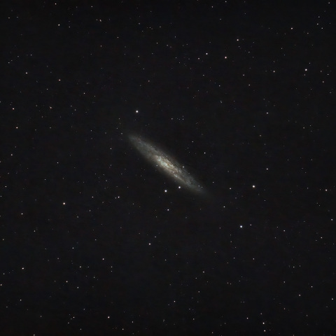 NGC253