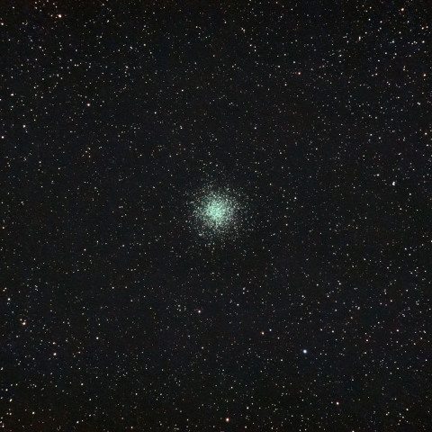 M55