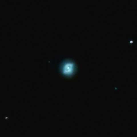 NGC6891