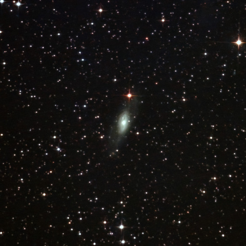NGC7013