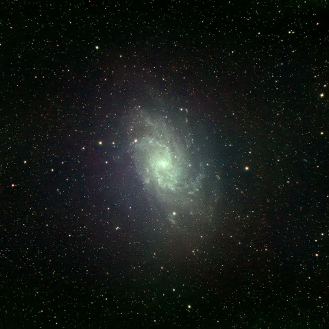 M33