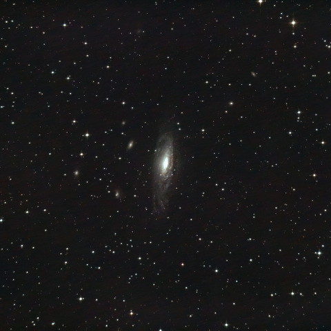 NGC7331