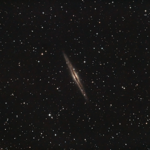 NGC891