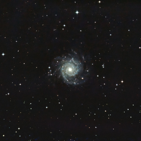 M74