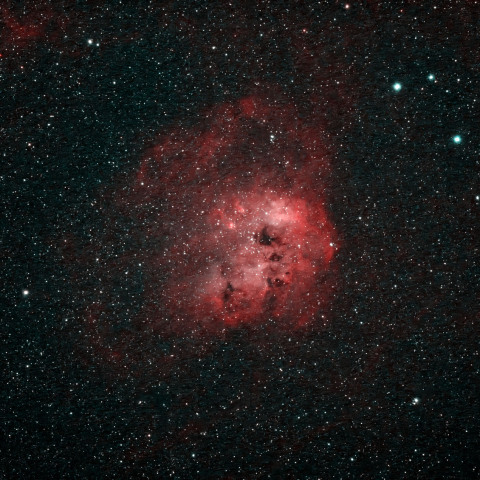 IC410 おたまじゃくし星雲