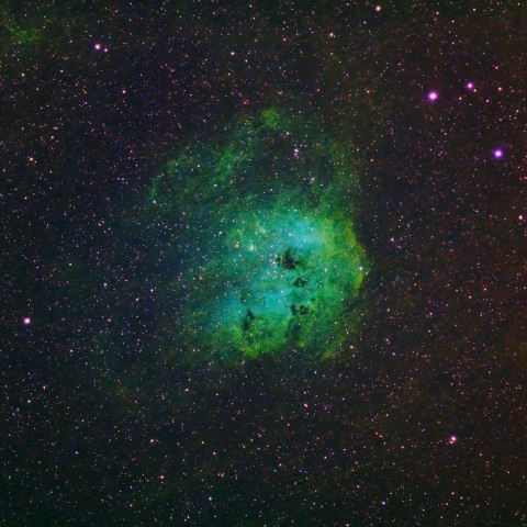 IC410 おたまじゃくし星雲