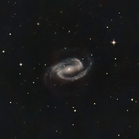 NGC1300