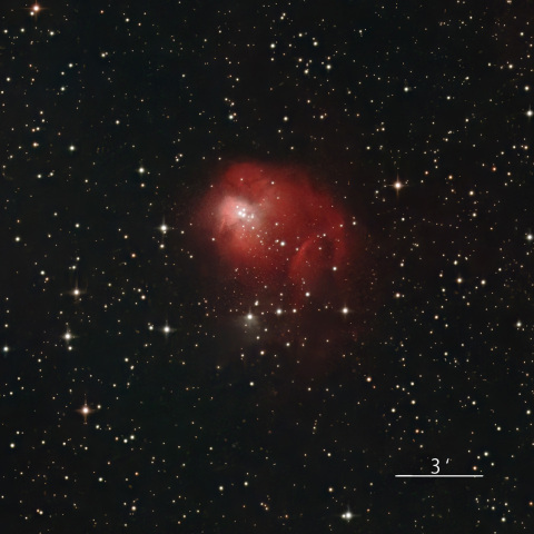 NGC1931 ハエ星雲