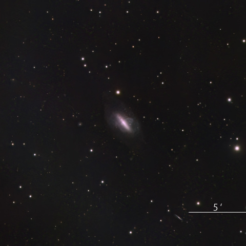 NGC2685 極リング銀河