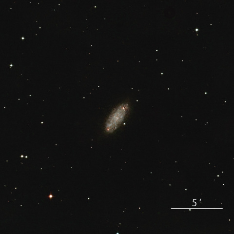 NGC2976