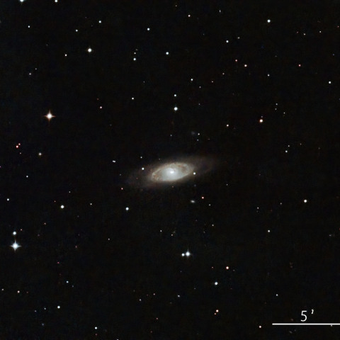 NGC4274