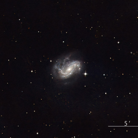 NGC4051