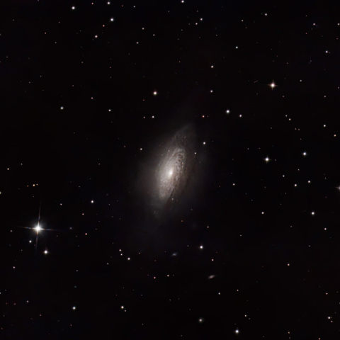 NGC3521
