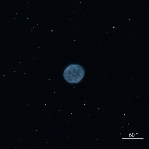 NGC1501