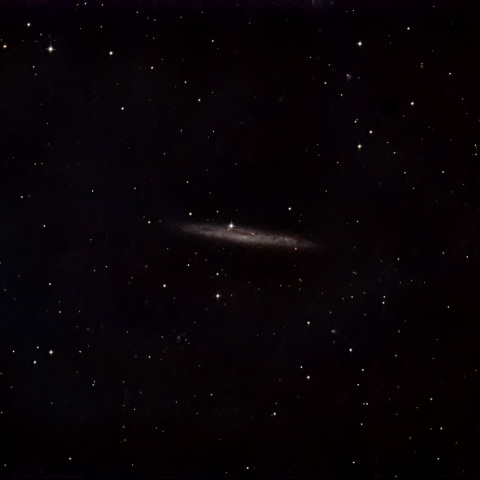 NGC4517