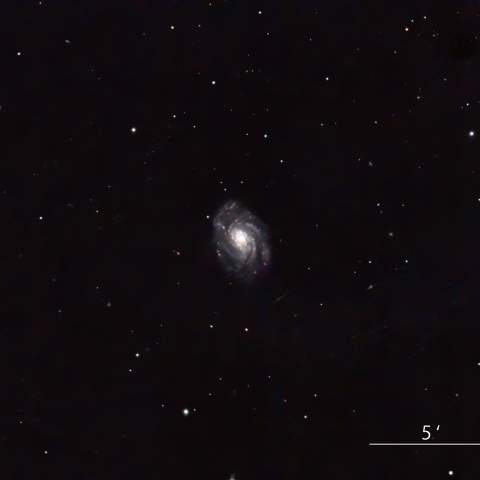NGC3810
